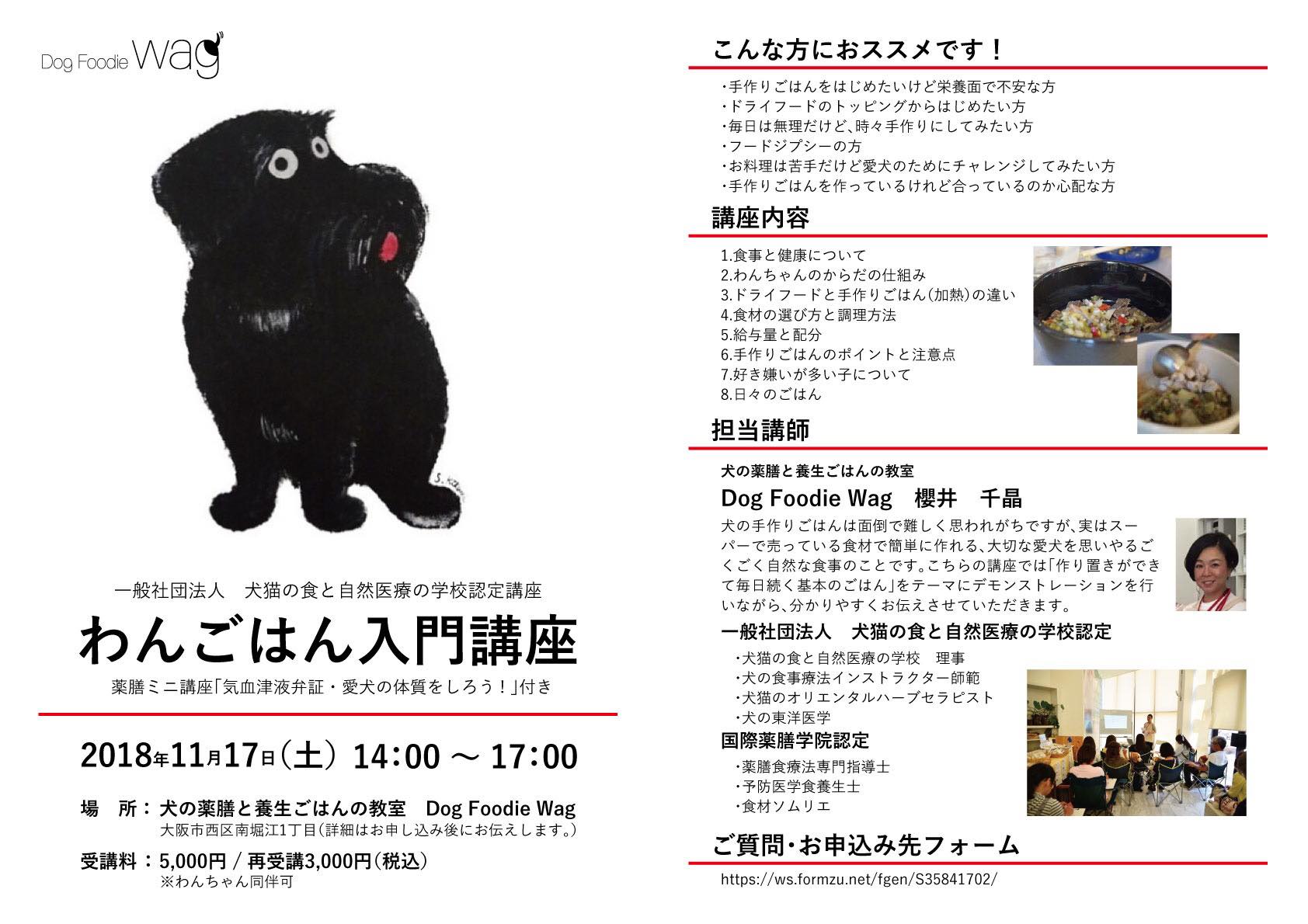 11月17日 土 わんごはん入門講座 In大阪 一般社団法人 犬猫の食と自然医療の学校 飼い主のためのキャリア スキルアップスクール